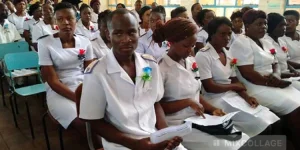 Zimbabwe opens nurse training applications.webp