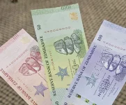Zimbabwe moves closer to ZiG-only domestic payments.webp