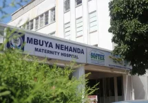 Zimbabwe recorded 6,177 newborn and 563 maternal deaths.webp
