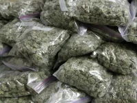 CID officer John Mashoko appeared on drug smuggling charges.webp