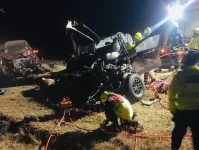 Police probe cow owner after Mbembesi Highlanders crash.webp