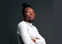 Article Wan's collaborations work in both directions.webp