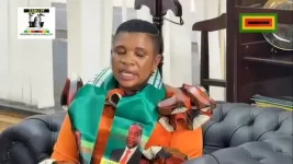 Tendai Luba Masotsha rejoined Zanu-PF.webp