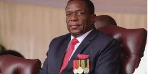 Zimbabwe workers gain the right to refuse dangerous work.webp
