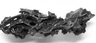Scientists Reveal Vesuvius Victim Brain Turned to Glass.webp