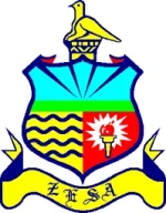 Privatize ZESA to Restore Zimbabwe Power Supply.webp