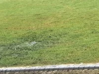 Rufaro Stadium Suffers as Renovation Facade Crumbles.webp