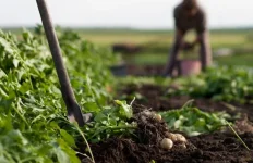Africa shifts funding from industrial to agroecology.webp