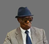 Barrow Allies Betray Gambian Diaspora Vote Rights.webp