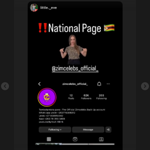 Zimcelebs' new Instagram account after suspension