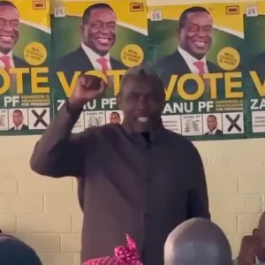 Kudakwashe Tagwirei bootlicking Emmerson Dambudzo Mnangagwa