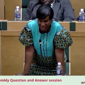 Shonalization of Zimbabwe Parliament criticized
